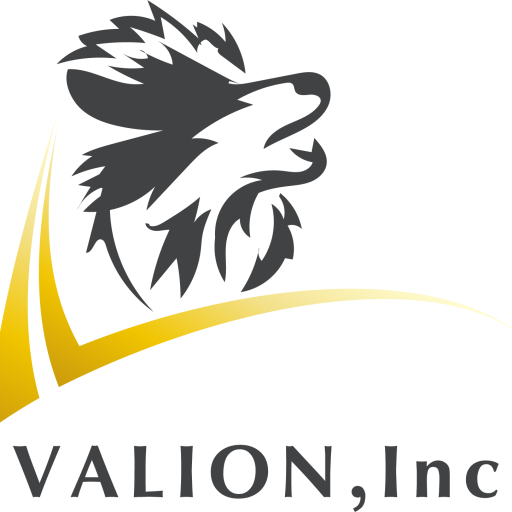 VALIONロゴ